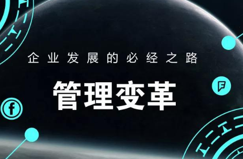 企業(yè)數(shù)字化轉型中的管理變革
